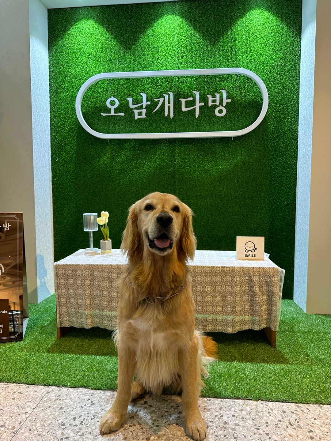 KakaoTalk_20230920_143726528_01.jpg